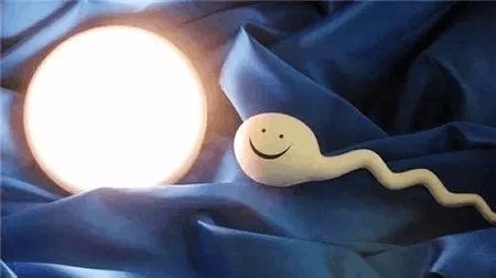 借卵代生包女孩代生包成功
